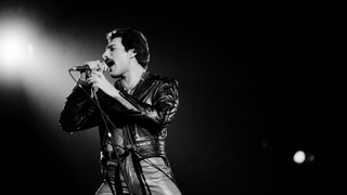 An asteroid near Mars has been named after Freddie Mercury